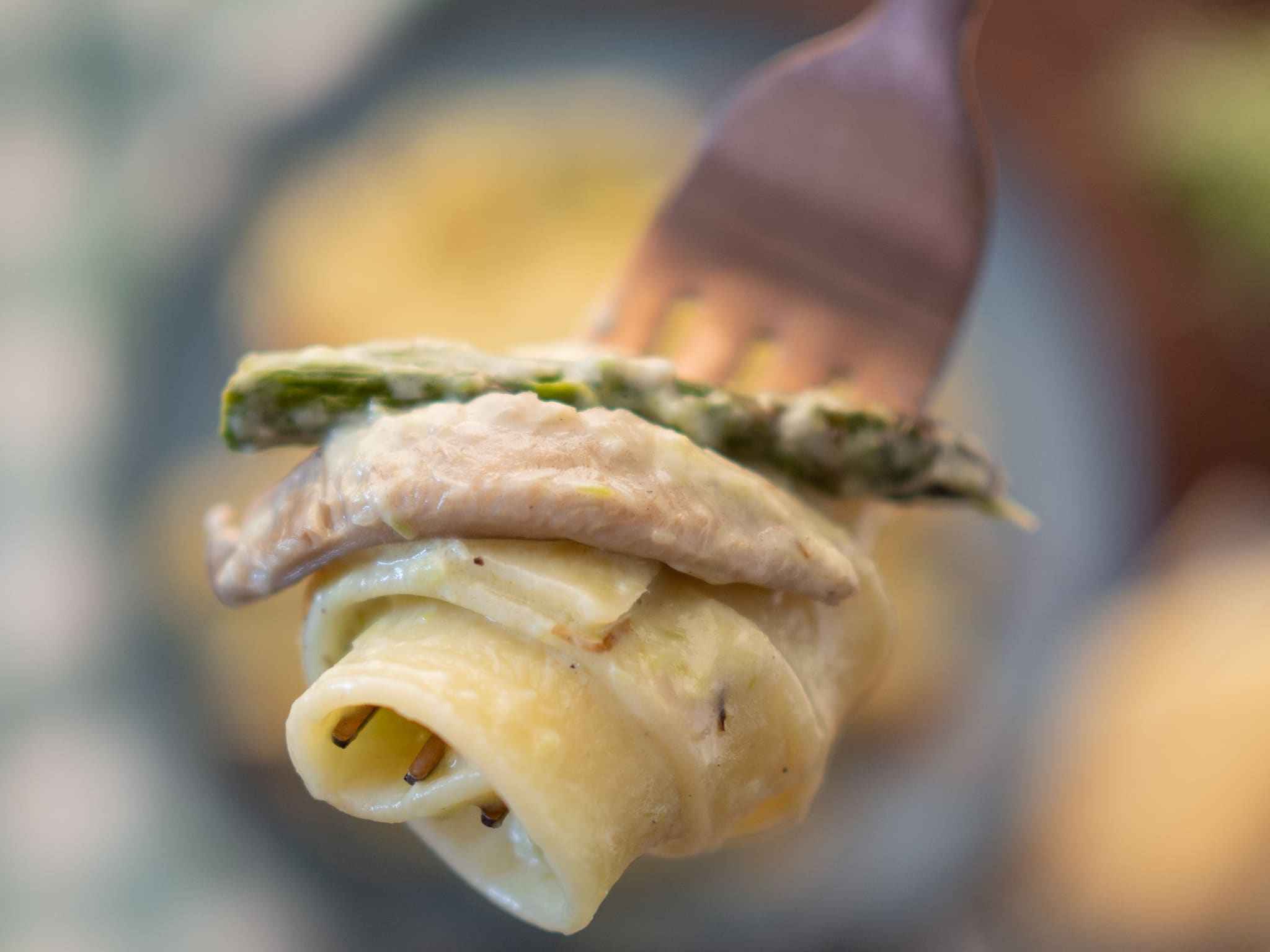 creamy asparagust fettuccini with mushrooms