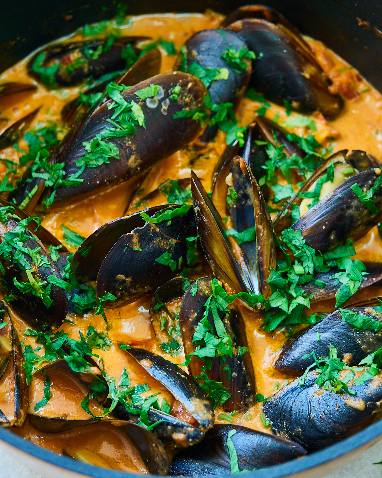 recipe of mussels in creamy tomato sauce