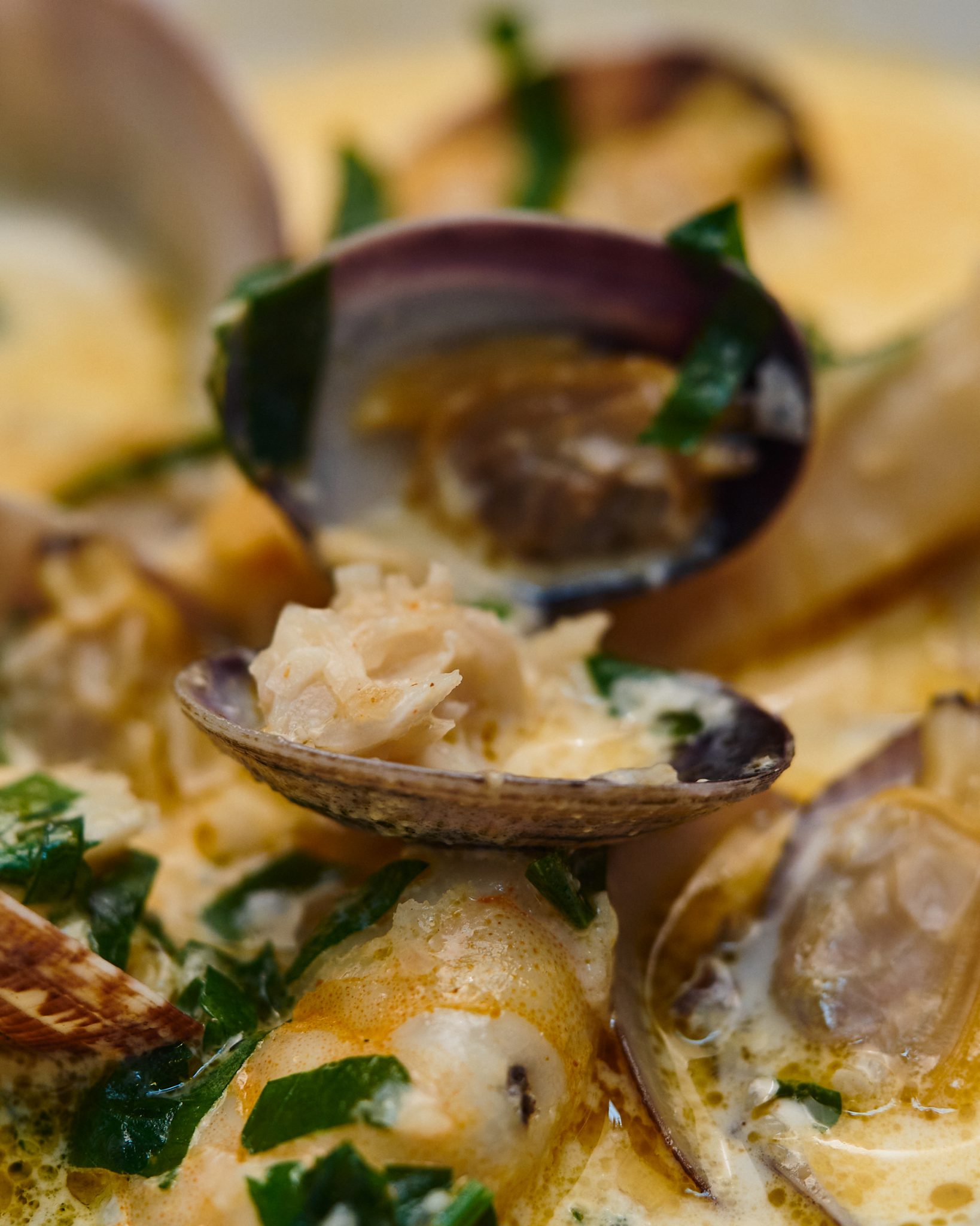 seafood soup recipe