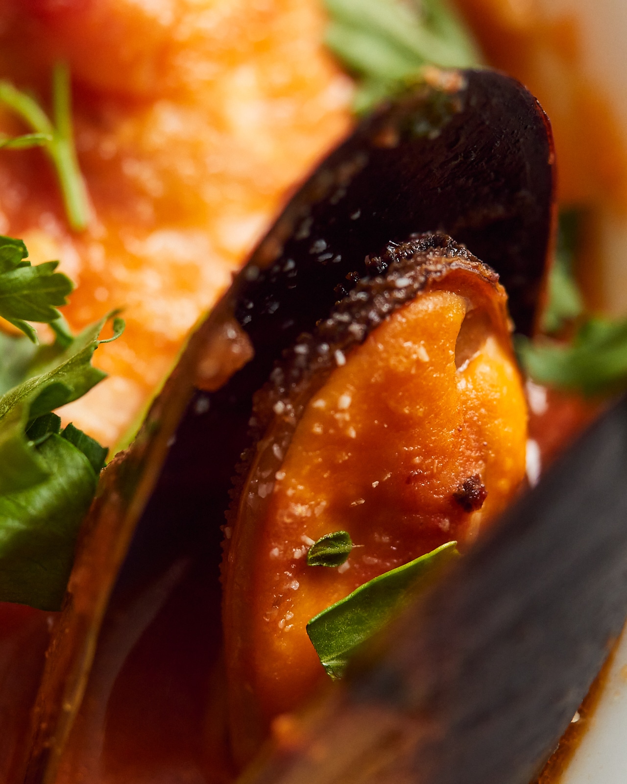 mussel in tomato sauce