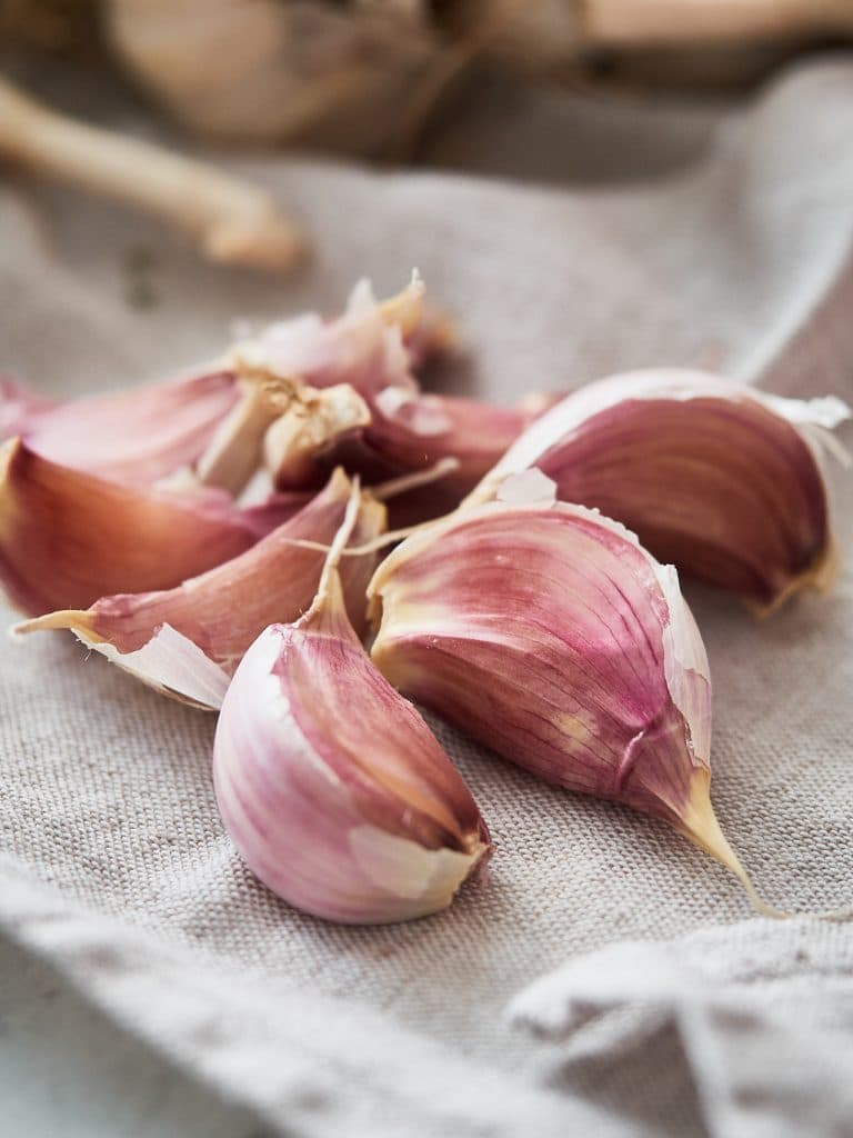 Garlic General Information