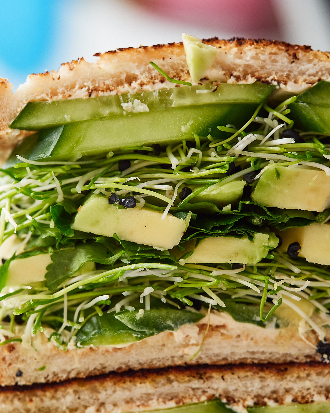 green sandwich recipe