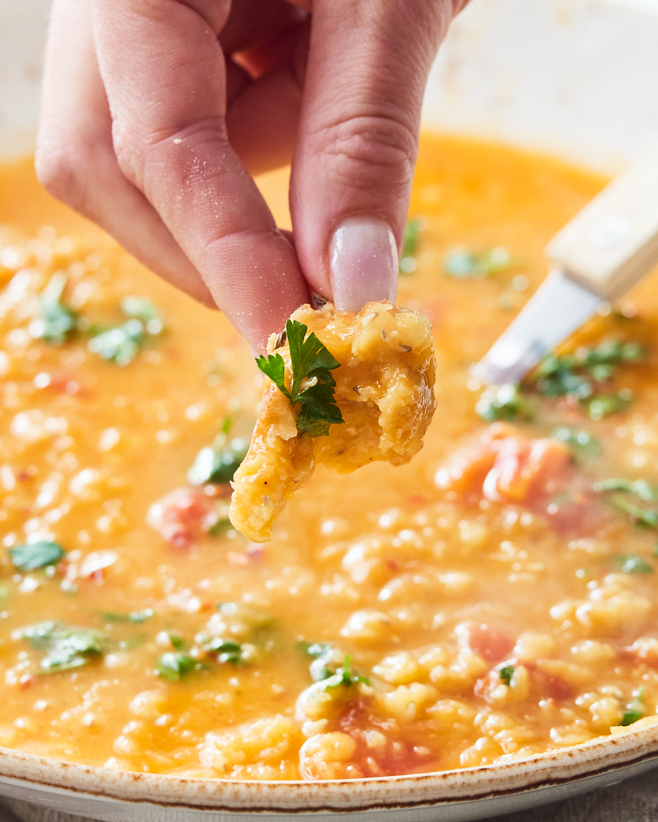 moroccan lentil soup recipe