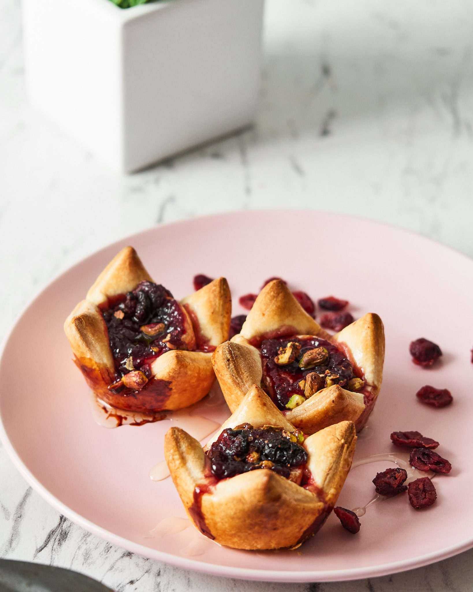 Baked Cranberry Brie Appetizers - Delice Recipes